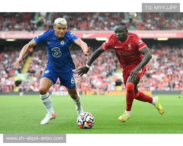 英超球员年龄分布及竞技状态研究