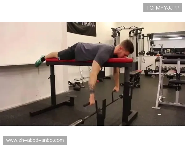 高效拉臂器材推荐解锁上肢力量与线条塑造